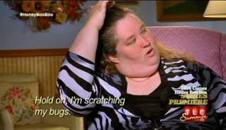 Illustration for article titled Farting, Rednecks and Gay Pigs: Here Comes Honey Boo Boo Is Riveting